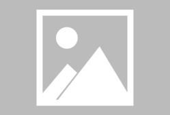 金年会-葡超今夜走向成谜，犹他爵士迎来里程碑，底气十足，数据趋势出现新变化